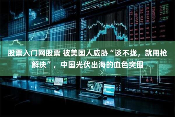 股票入门网股票 被美国人威胁“谈不拢，就用枪解决”，中国光伏出海的血色突围