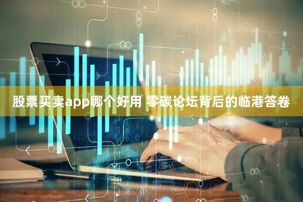 股票买卖app哪个好用 零碳论坛背后的临港答卷