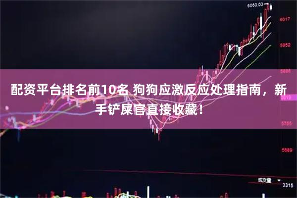 配资平台排名前10名 狗狗应激反应处理指南，新手铲屎官直接收藏！