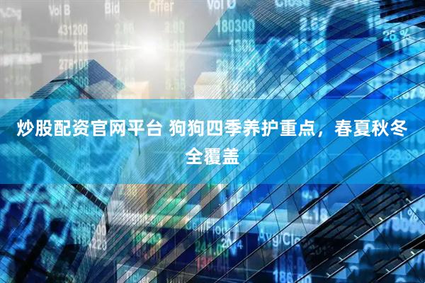 炒股配资官网平台 狗狗四季养护重点，春夏秋冬全覆盖
