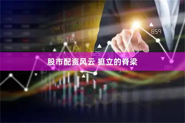 股市配资风云 挺立的脊梁