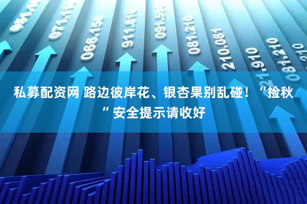 私募配资网 路边彼岸花、银杏果别乱碰！“捡秋”安全提示请收好